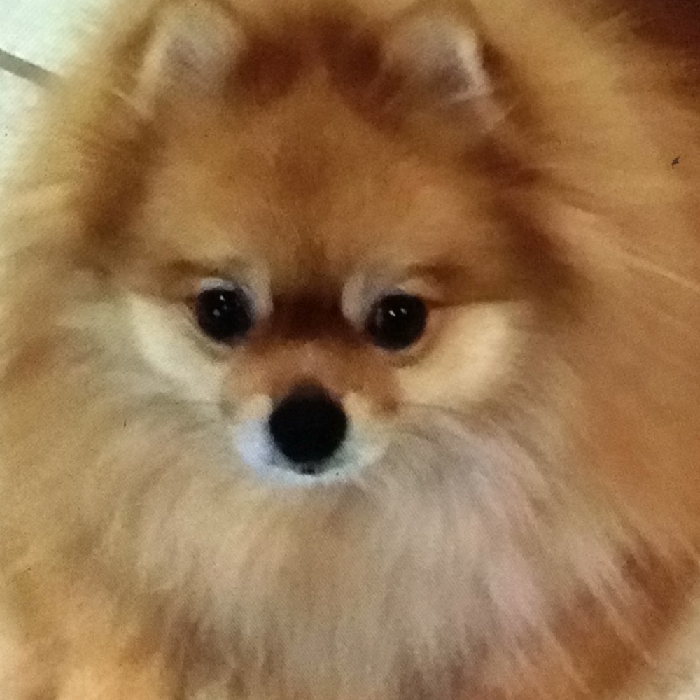 Meet your Posher, Denise